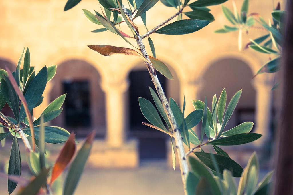 San Francesco Heritage Hotel 알게로 외부 사진